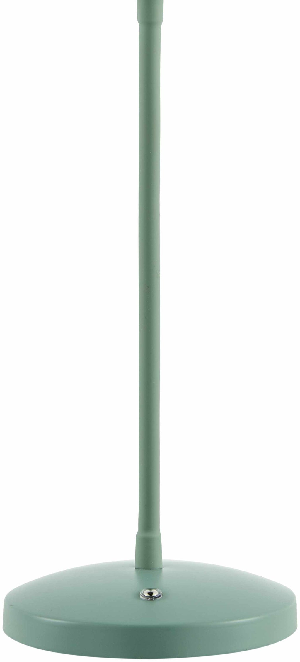 Pachiquita Sage Table Lamp