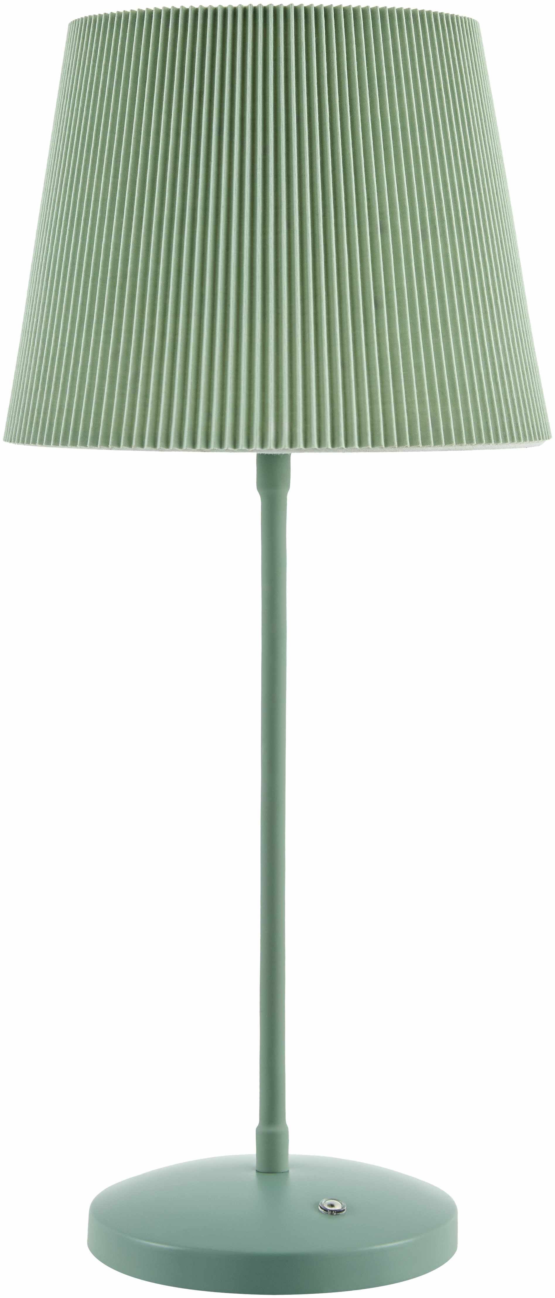 Pachiquita Sage Table Lamp